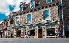 The Sheep And Penguin